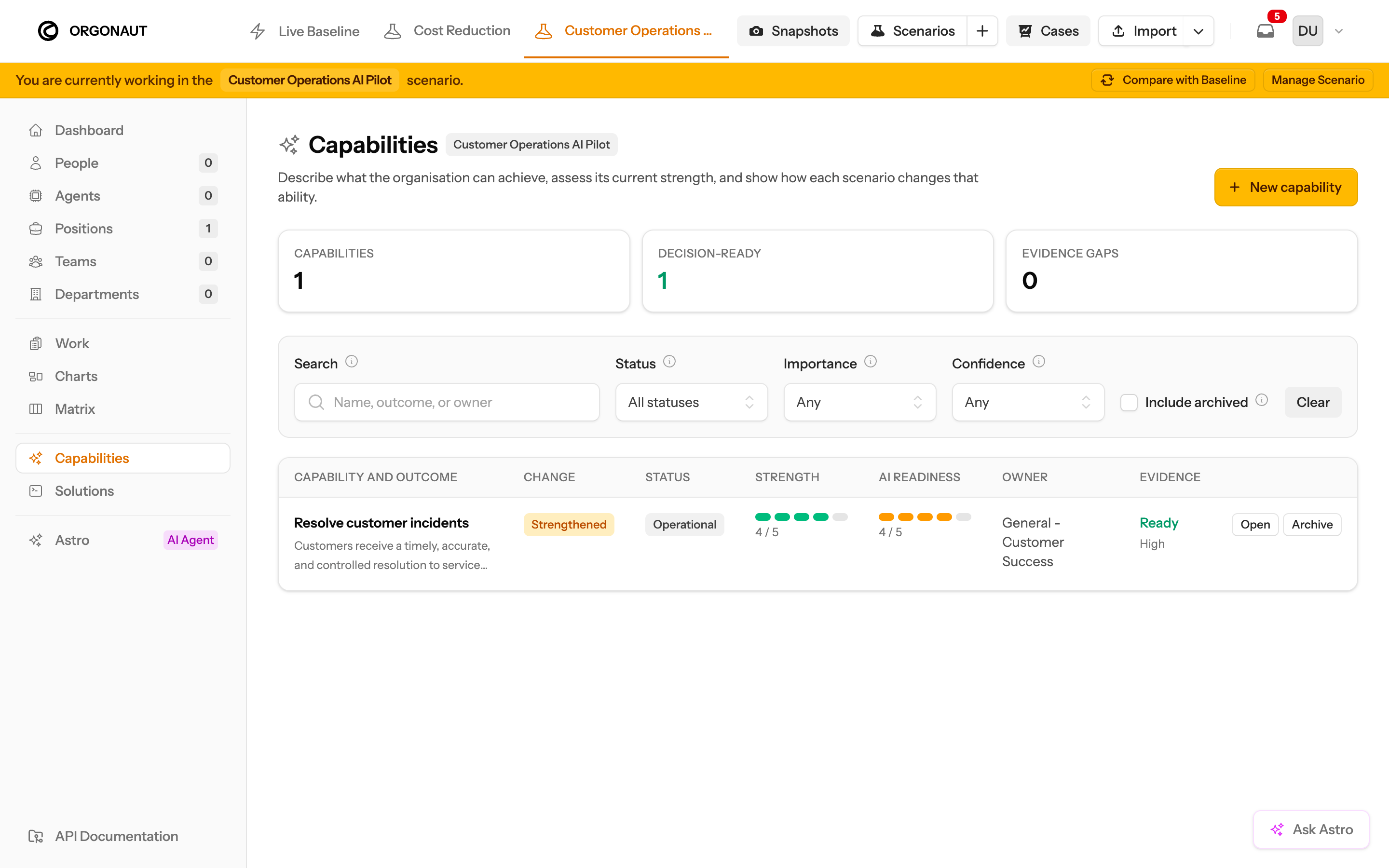 Fictional capability portfolio for the Customer Operations AI Pilot scenario